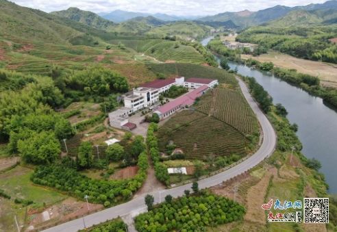 江西德兴 小油茶 链 起富民兴村大产业 图