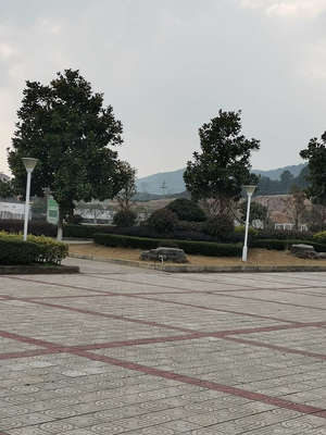 磐安县顺风高级中学