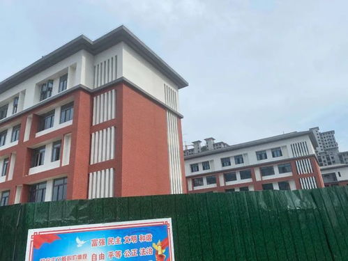 交通 教育 棚改全面开花 洛阳城东将迎来蜕变