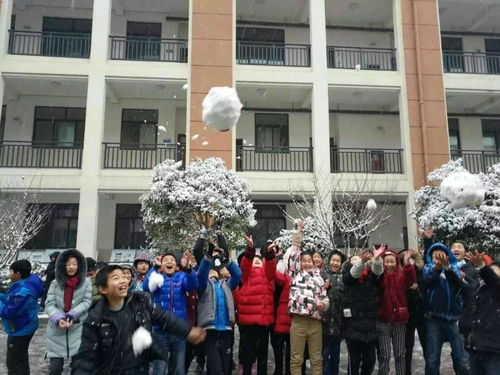 雪后校园惊艳亮相 有你的学校吗