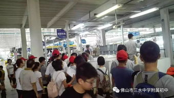 走进海尔工厂,感受海尔基因 三水中学附属初中学子寻访家乡故事