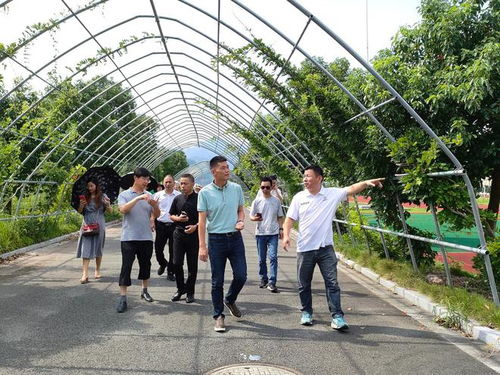 远客汇聚为劳育 芳气袭人是艾香