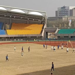 足球特色学校,畅享阳光足球