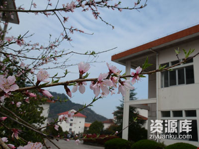 浙江省磐安中学