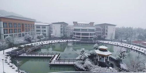 磐安下雪啦 2023年第一股冷空气在路上了